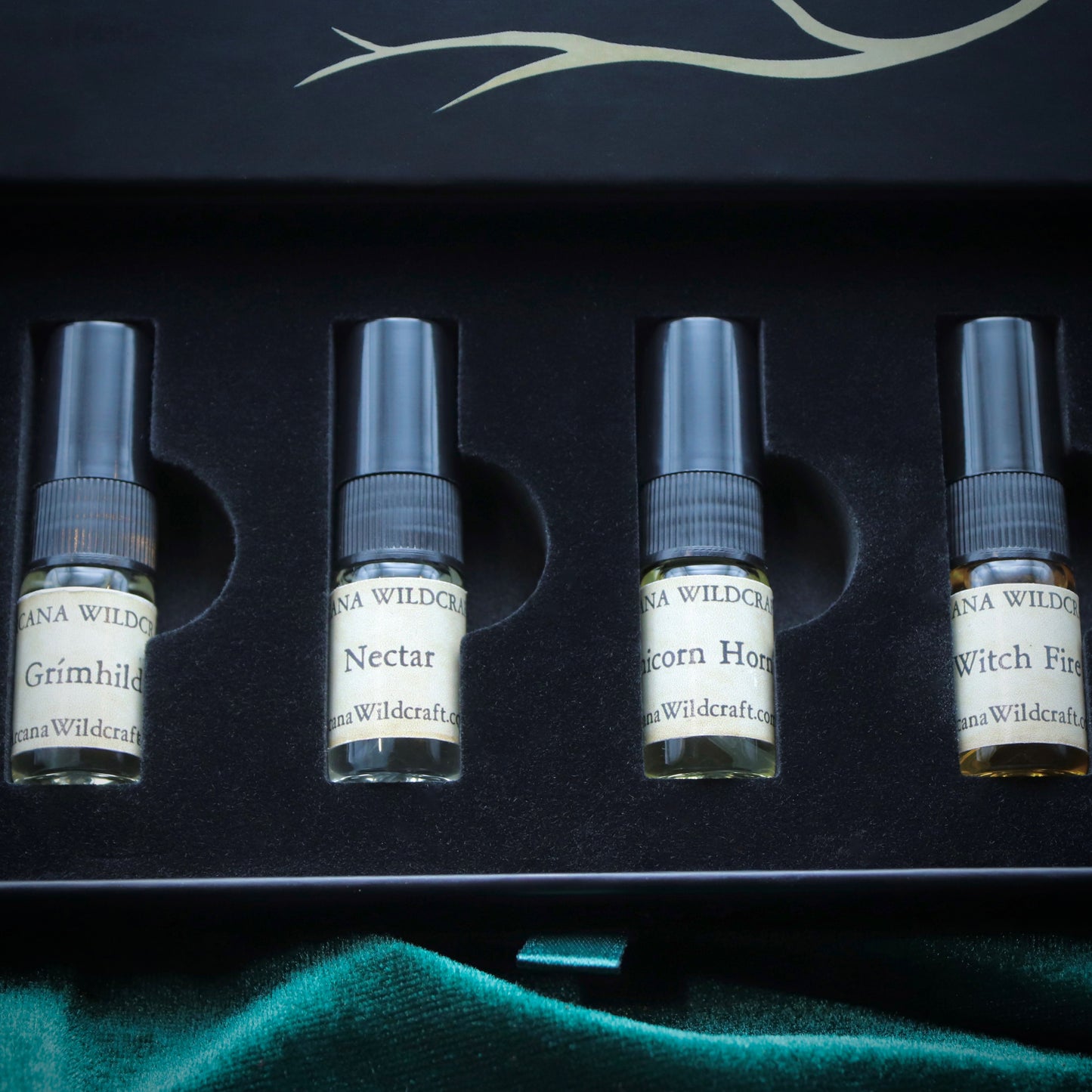 Coven Discovery Set