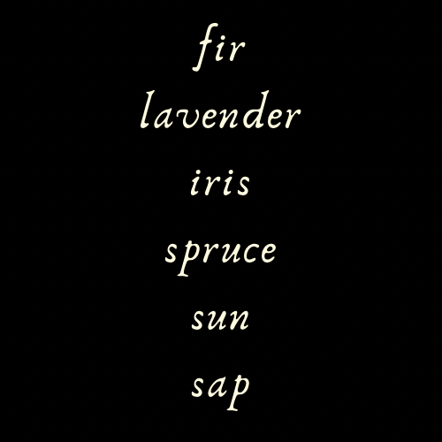 Daydreams of Trees Perfume