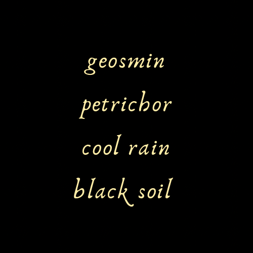 Graveyard Dirt Perfume