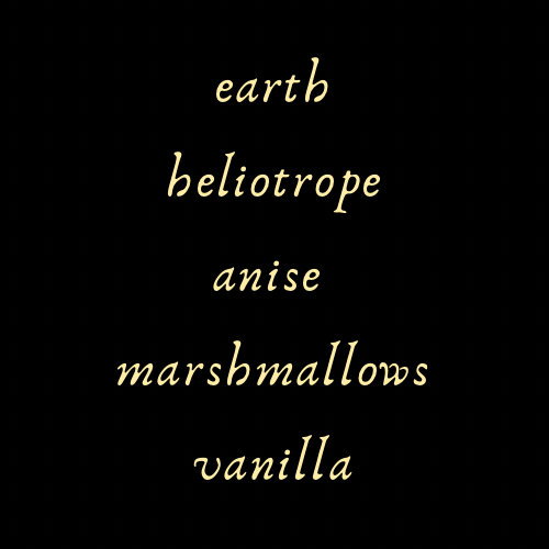 Silent in the Snow Perfume