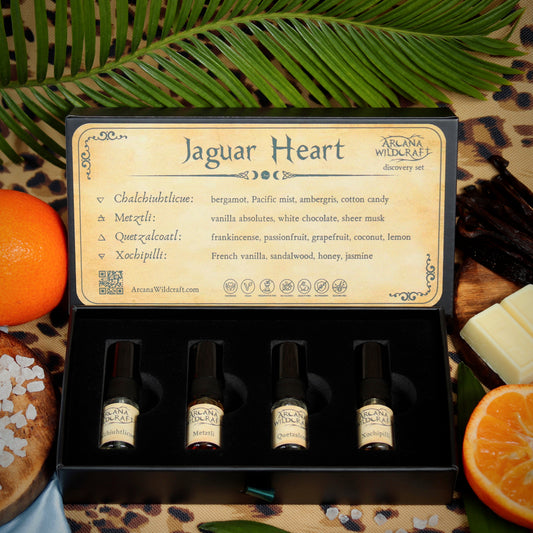Jaguar Heart Discovery Set