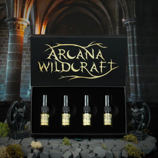Medieval Discovery Set
