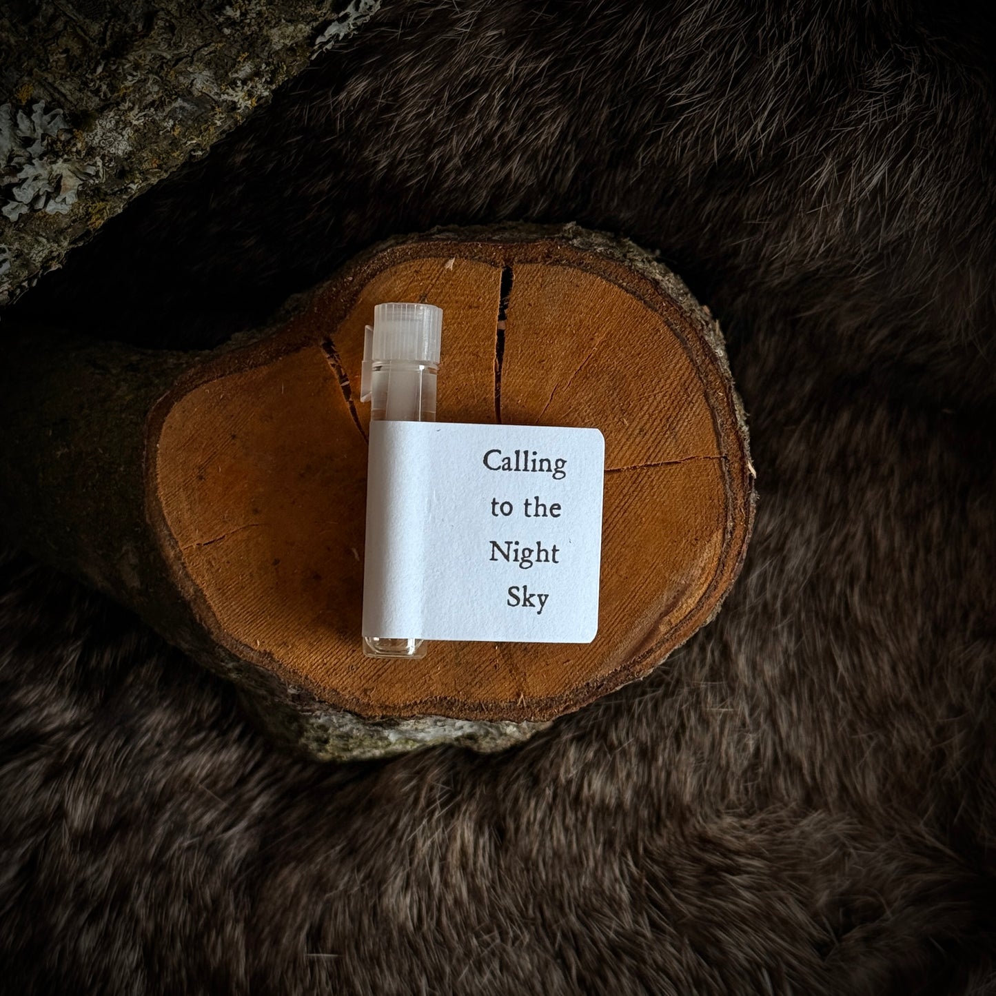 Calling to the Night Sky Perfume
