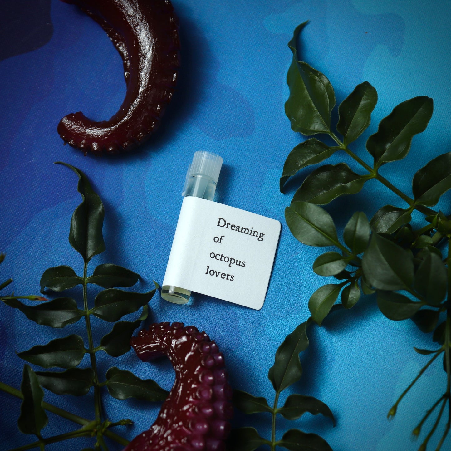 Dreaming of octopus lovers perfume