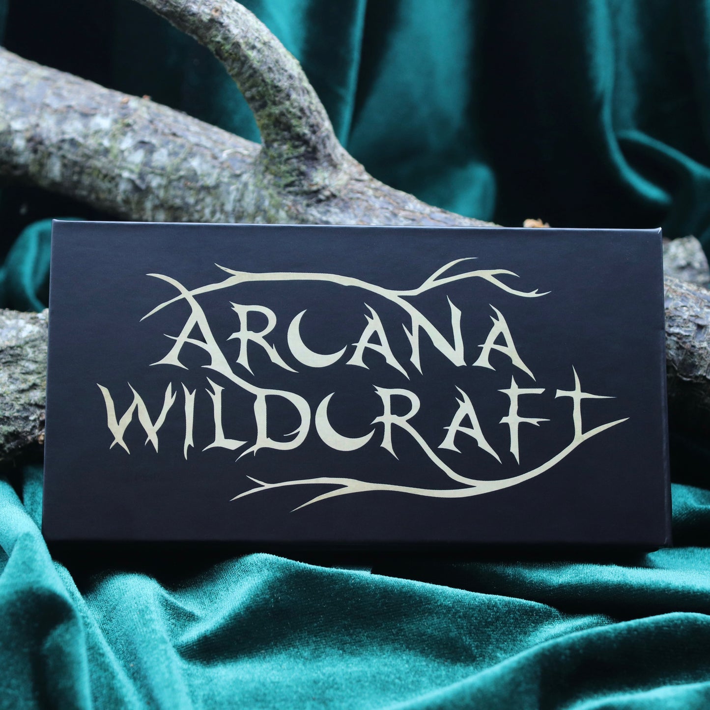 Coven Discovery Set