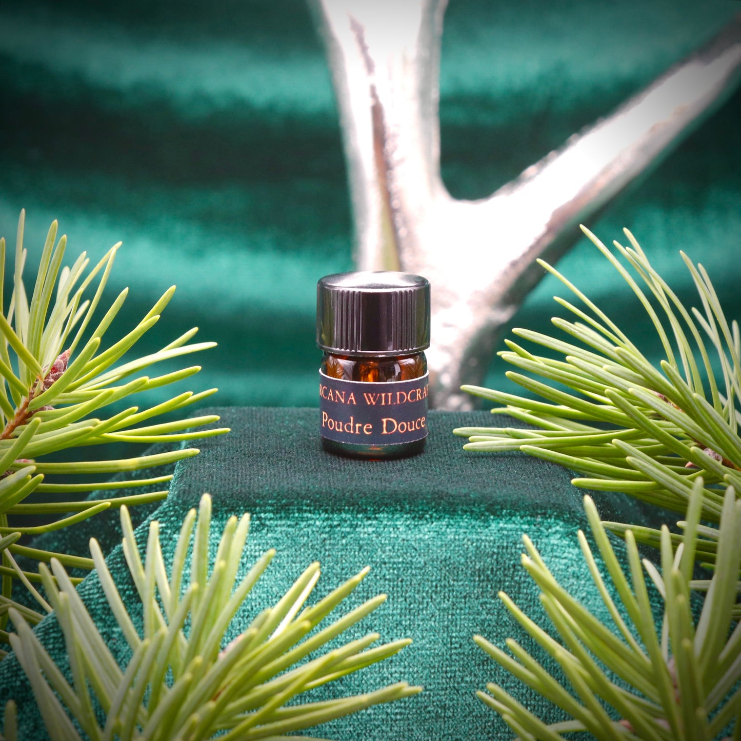 Poudre Douce Perfume