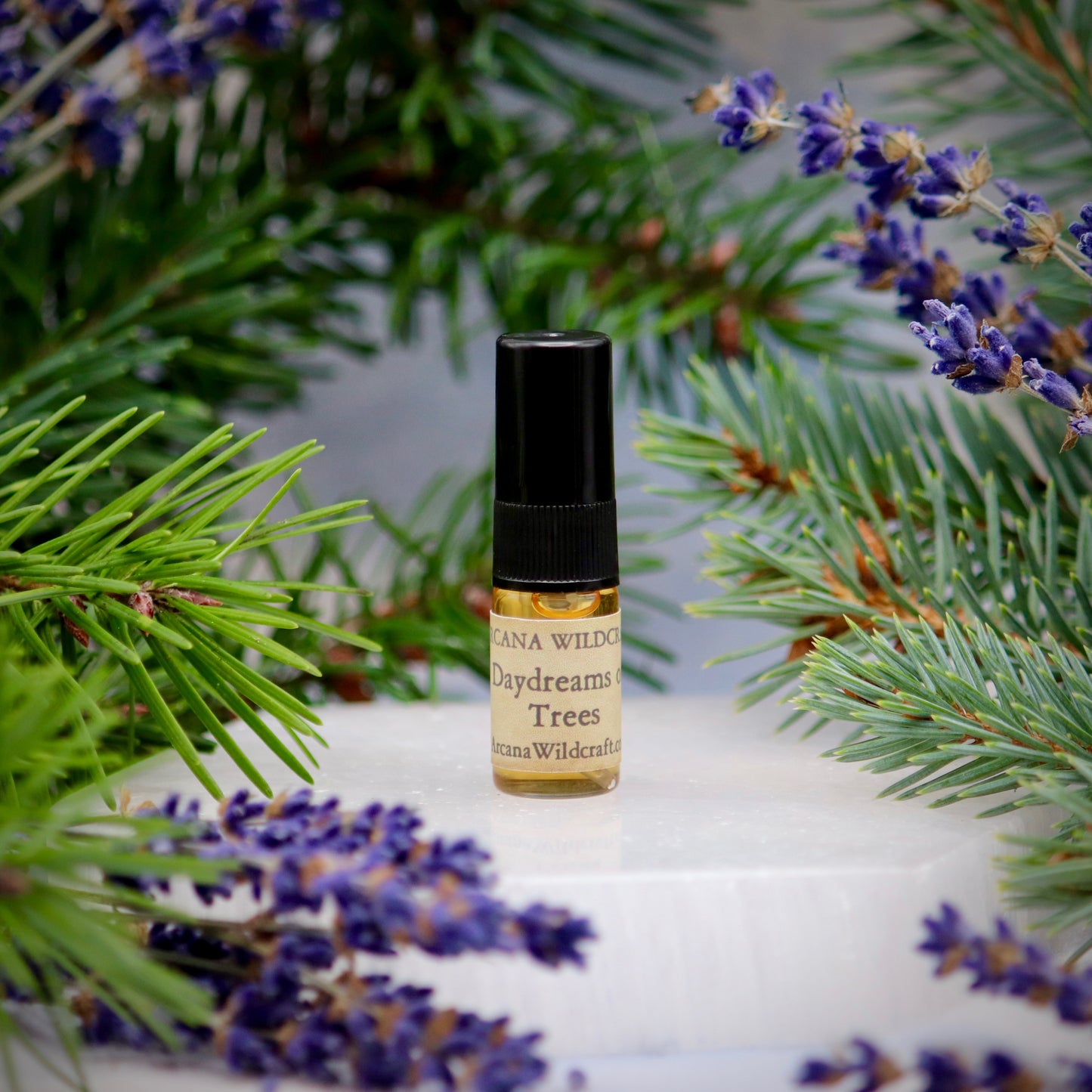 Daydreams of Trees Perfume