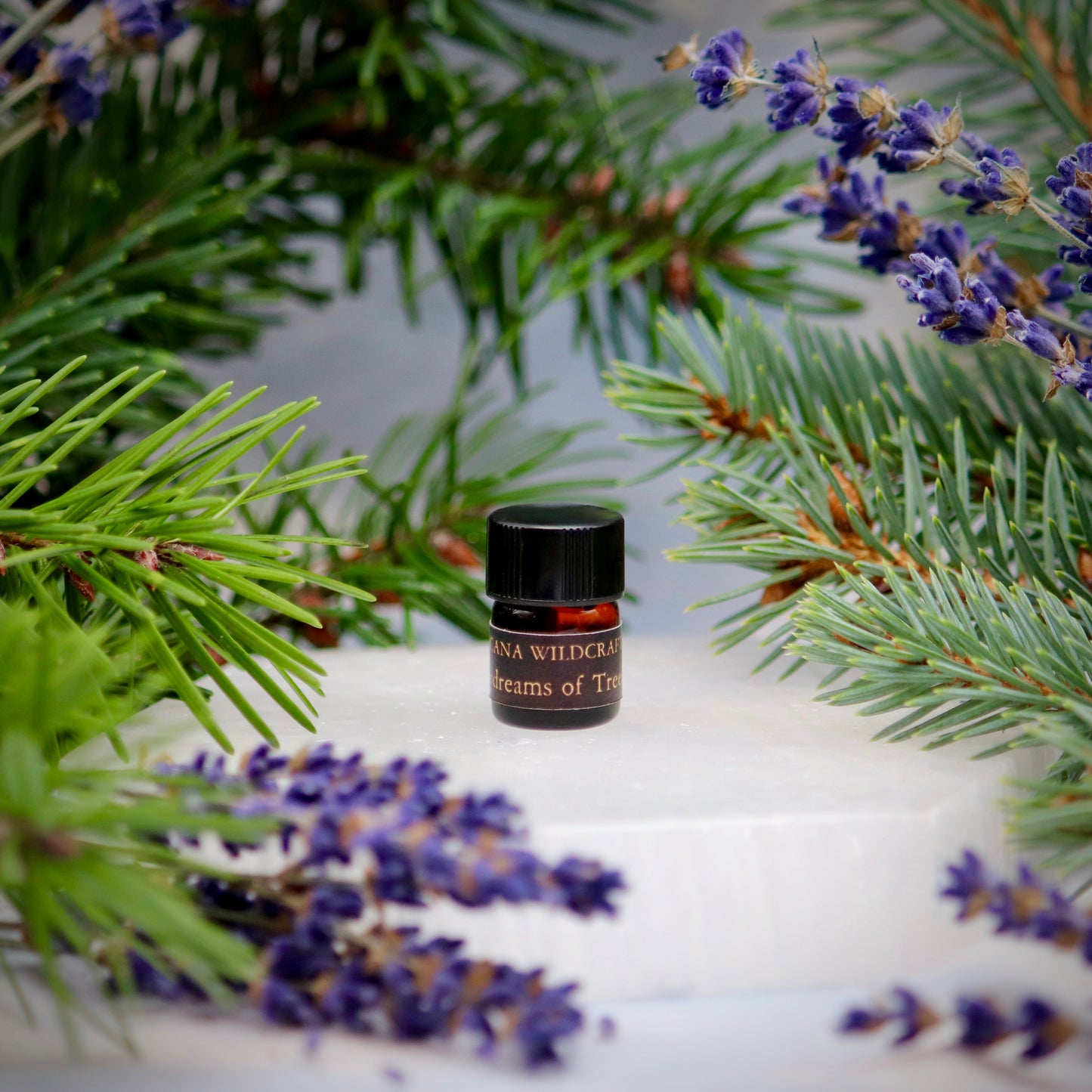 Daydreams of Trees Perfume