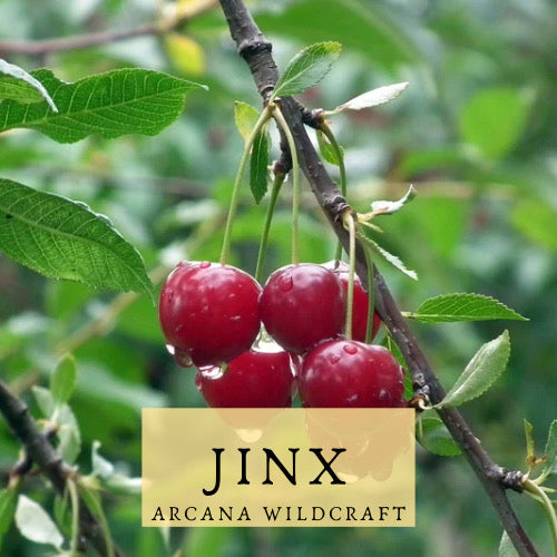 Jinx