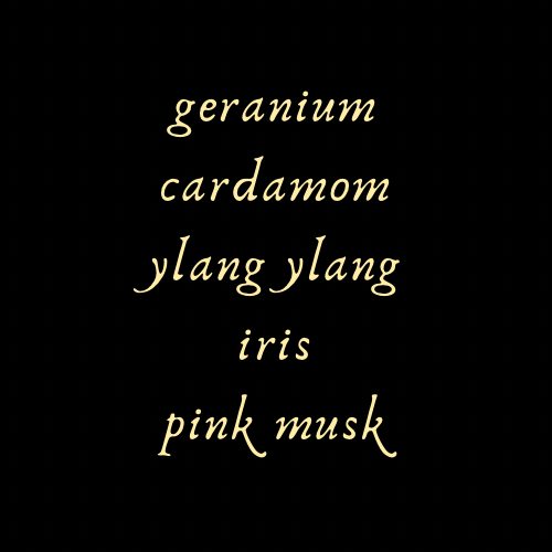 Beginning Perfume