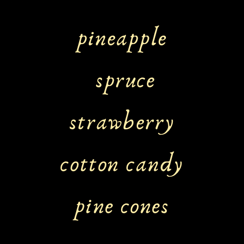 Reunited with the Pack Perfume