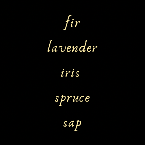 Daydreams of Trees Perfume