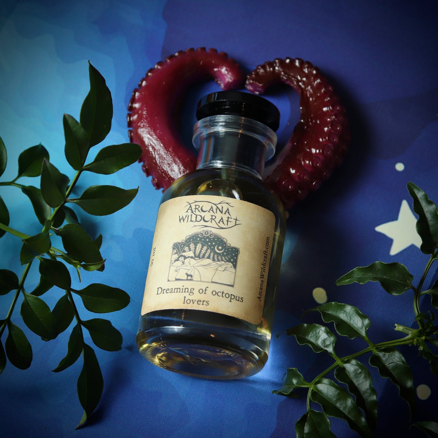 Dreaming of octopus lovers perfume