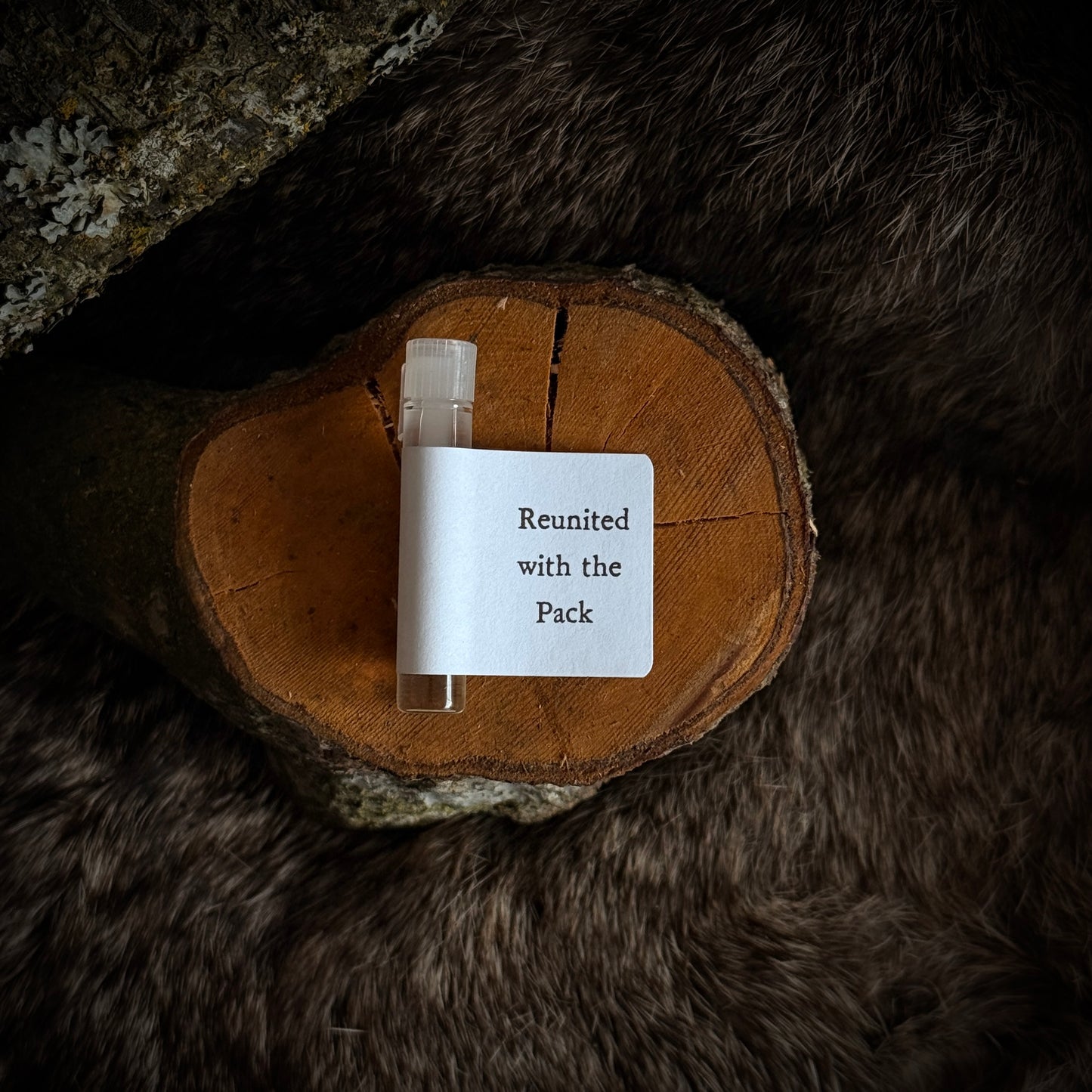 Reunited with the Pack Perfume