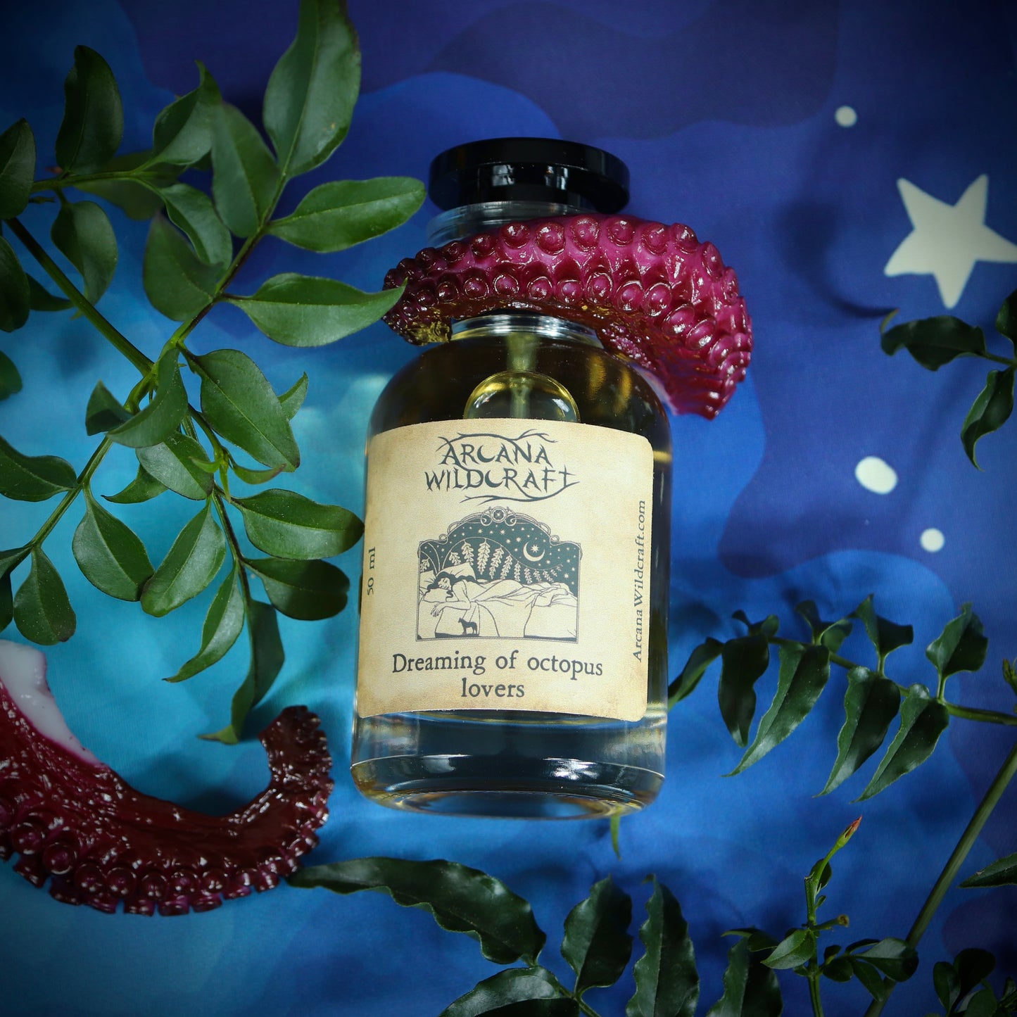 Dreaming of octopus lovers perfume