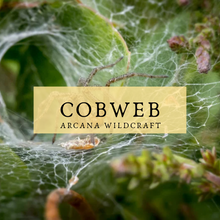 Load image into Gallery viewer, Cobweb