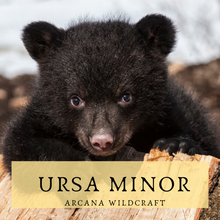 Load image into Gallery viewer, Ursa Minor