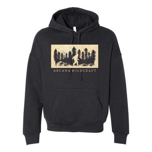 Coast of Cascadia Dropped Shoulder Hoodie, Gender Neutral Sponge Fleece XS-2XL